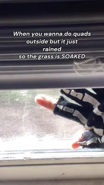 Does this belong here or somewhere else? Anyways here&rsquo;s a quad meme I made