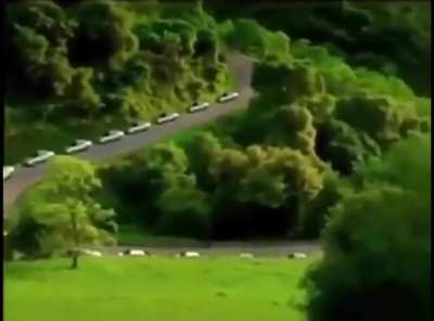 Car Video.mp4