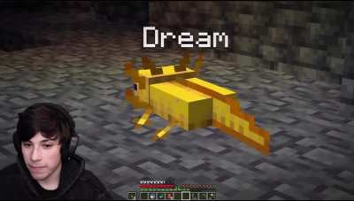 Credits to dream and george