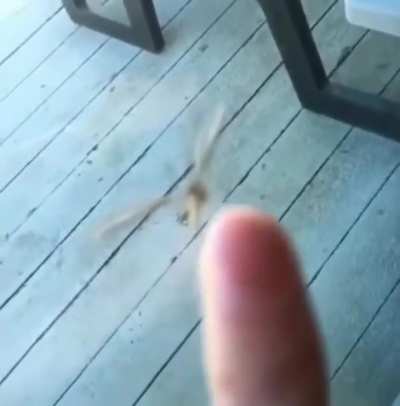 My phone won't focus