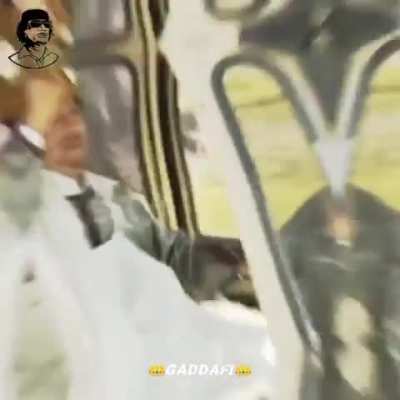 The lion (Gaddafi) 