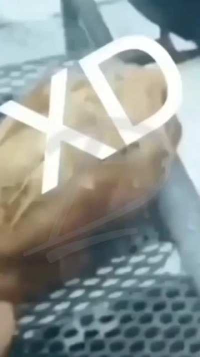 XD