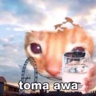 Toma awa