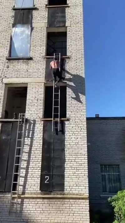 A Mad Ladder
