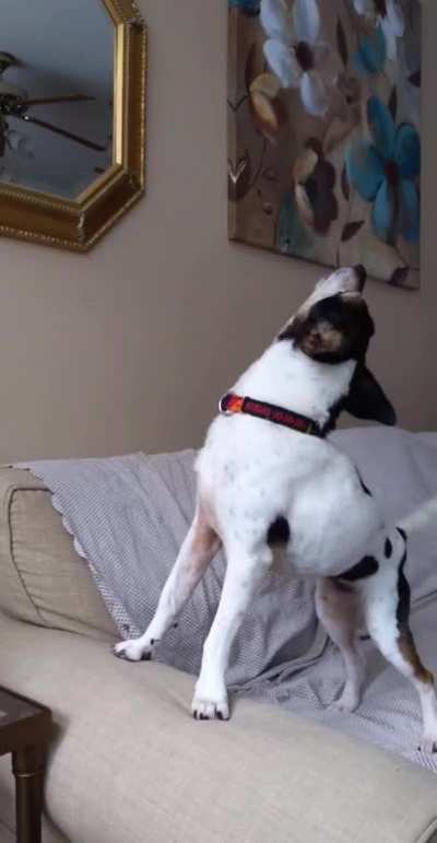 Full body howl