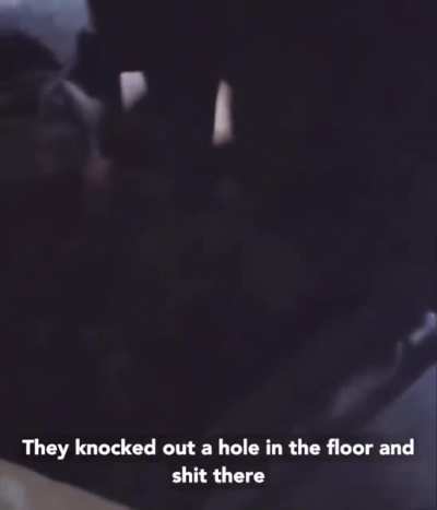 If you don't know how to use flushing toilet, why not make your own crapping pit out of an elevator?