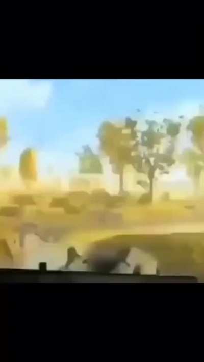 I LEFT MY HENTAI COLLECTION IN THAT FUCKING HELICOPTER