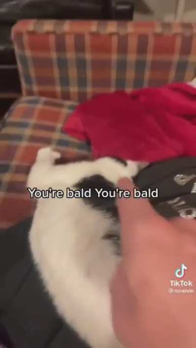 Little baldy