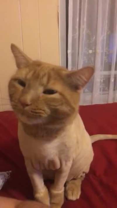 He pretends like he&rsquo;s chewing to communicate that he&rsquo;s hungry!