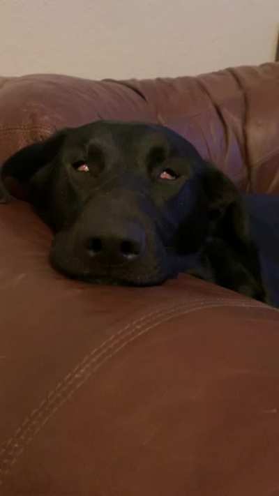 I think she&rsquo;s broken