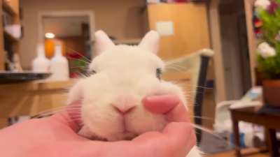 i give him smushes he gives me kisses &amp;lt;3