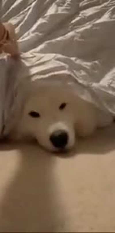 ‎ ‏‏‎