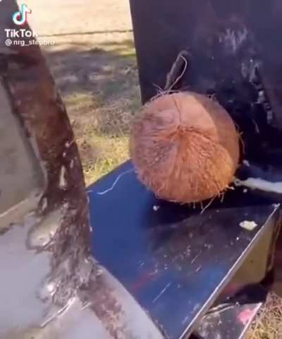 Coconut?