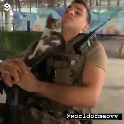 çok tatlı lan v2