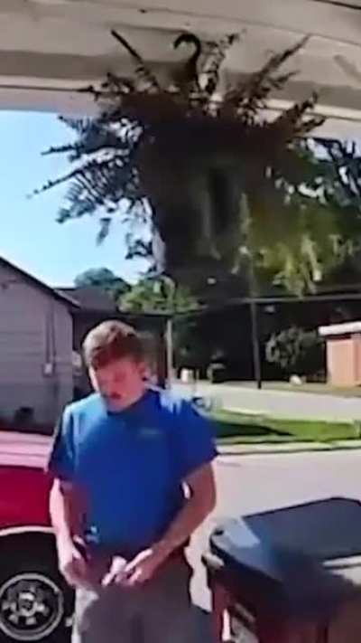 The plant started it
