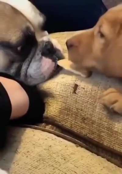 Sharing is caring.