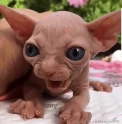 precious