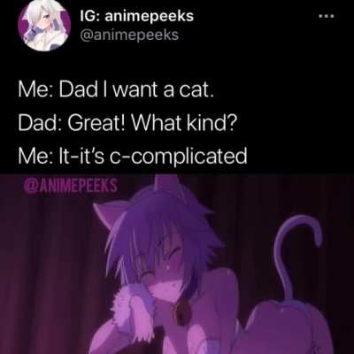 Its complicated dad 😳