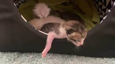 I&rsquo;m breaking out of here!!! &hellip; wait&hellip;maybe not.