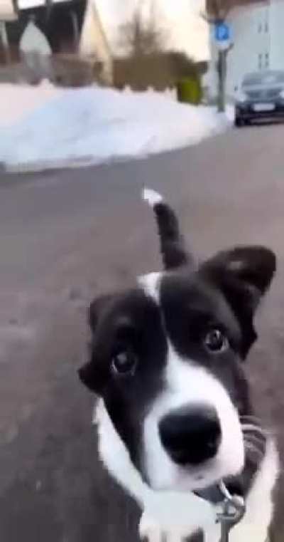 what a cutie