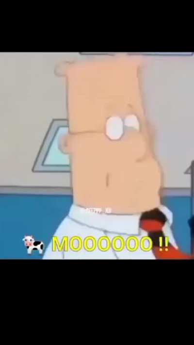 Mooooo
