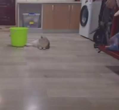 La canci&oacute;n lo arruina todo, pero est&aacute; chido el video :D