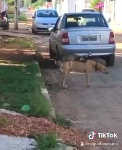 No dejes que tus sue&ntilde;os sean sue&ntilde;os