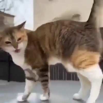 Aaaaa