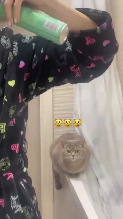 It seems he doesn't like it