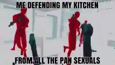 "eu defendo minha cozinha de todos os pansexual"