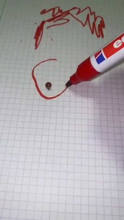 a man traps a ladybug
