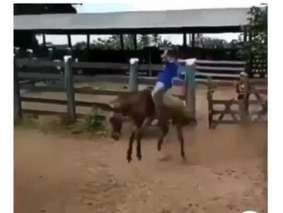 when horse stops for a second and actually applied his brain
