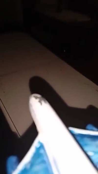 Basado