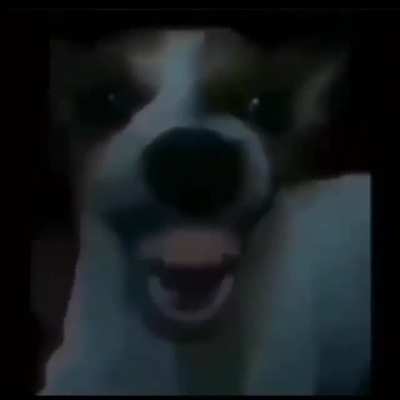 jjjj