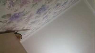 Kkkk