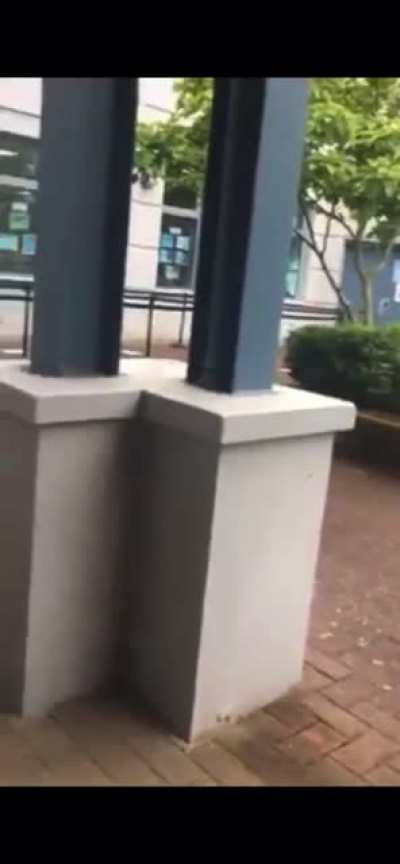 richmond woman goes off harassing highschoolers who take the vaccine calling them "murderers"...this is the same woman that was found guilty in the canada line incident + the same woman who called bosley workers "Gestapo" for refusing a mask