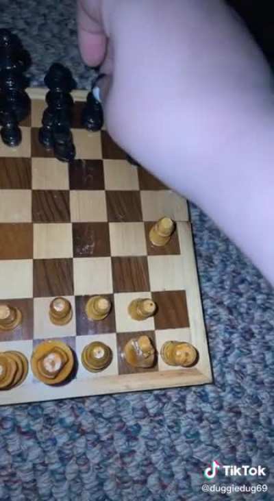 cat plays chess