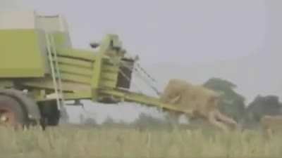Farmer joe
