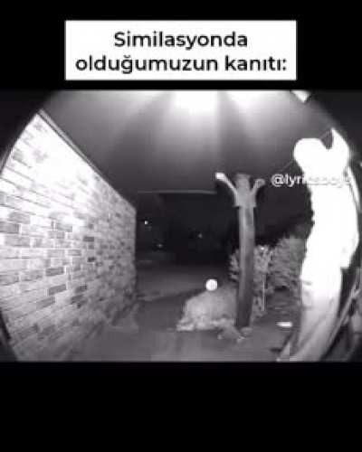 Muz yani sim&uuml;lasyondayız