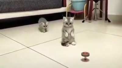 "Don't touch it!"
