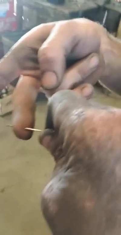 No fun pulling out