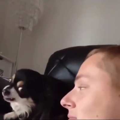 Sneaky Kisses