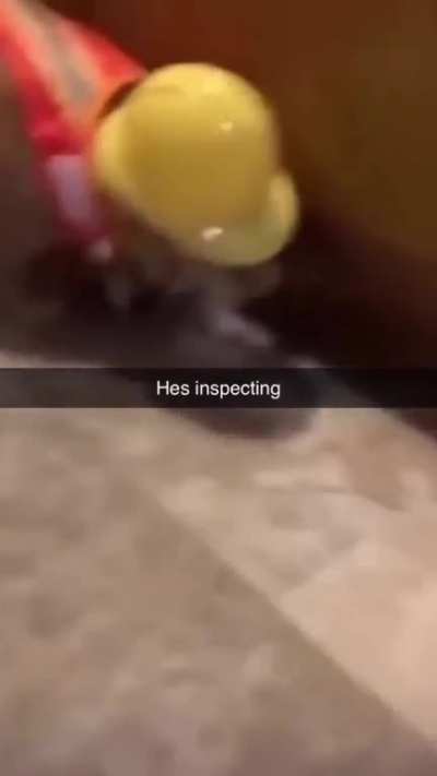 👷&zwj;♂️