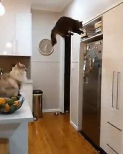 Perfect fit