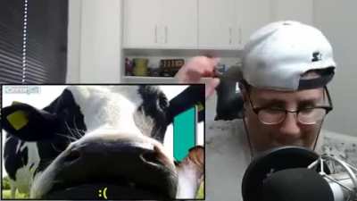Tente n&atilde;o chorar credito: canal Reagindo
