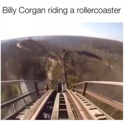 Wheeeee!