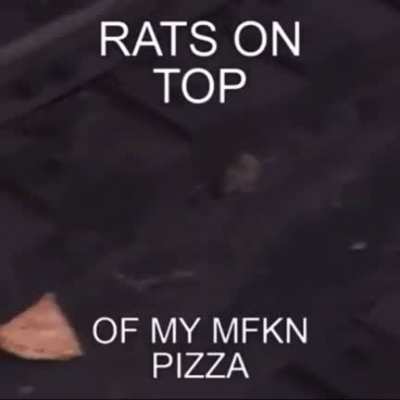 Rats⁉️⁉️