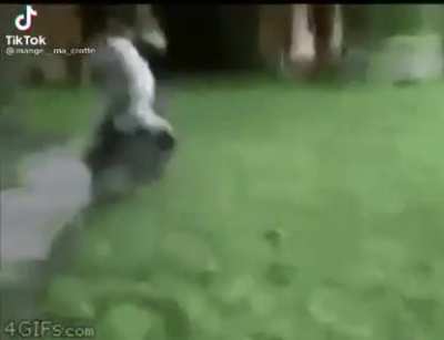 SquarePosting - Video #8086