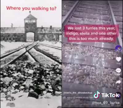 Making fun of and encouraging suicide, keep it classy tiktok