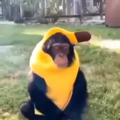 &iquest;Por qu&eacute; me grita?